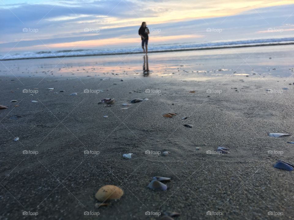 Views from the seashell