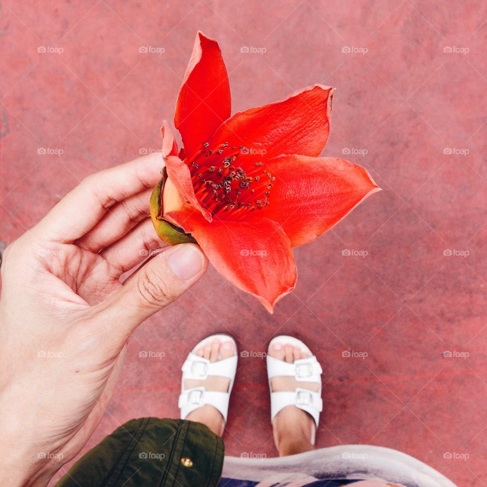 Red color story : Standing with red flower.