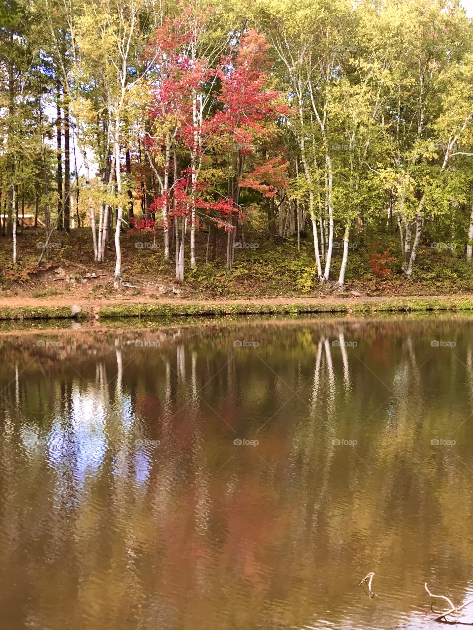 Faint reflection 