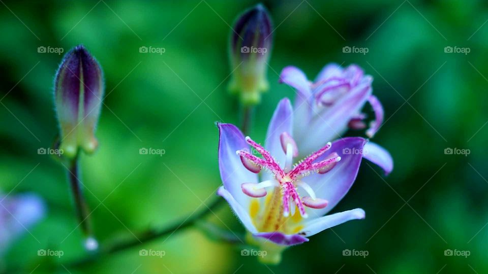 my first impressions .