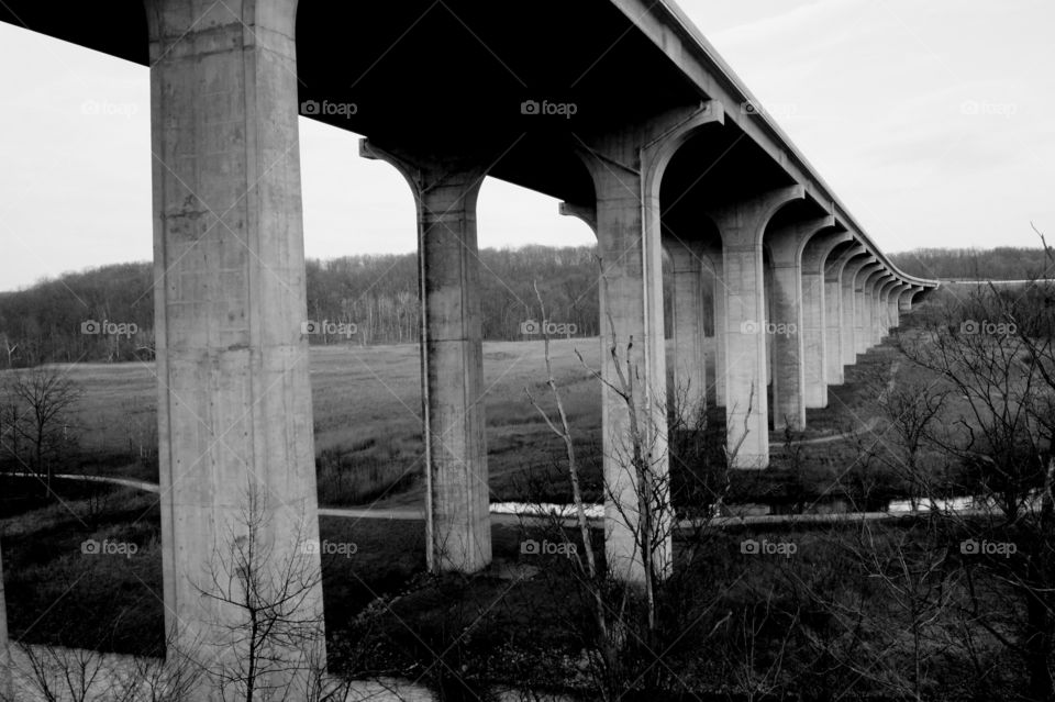 Black and white bridge 