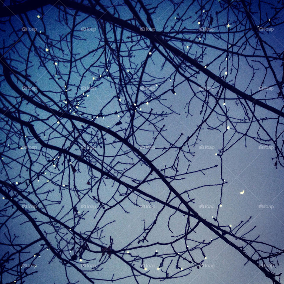 Lights disguised as stars and a itty bitty moon.