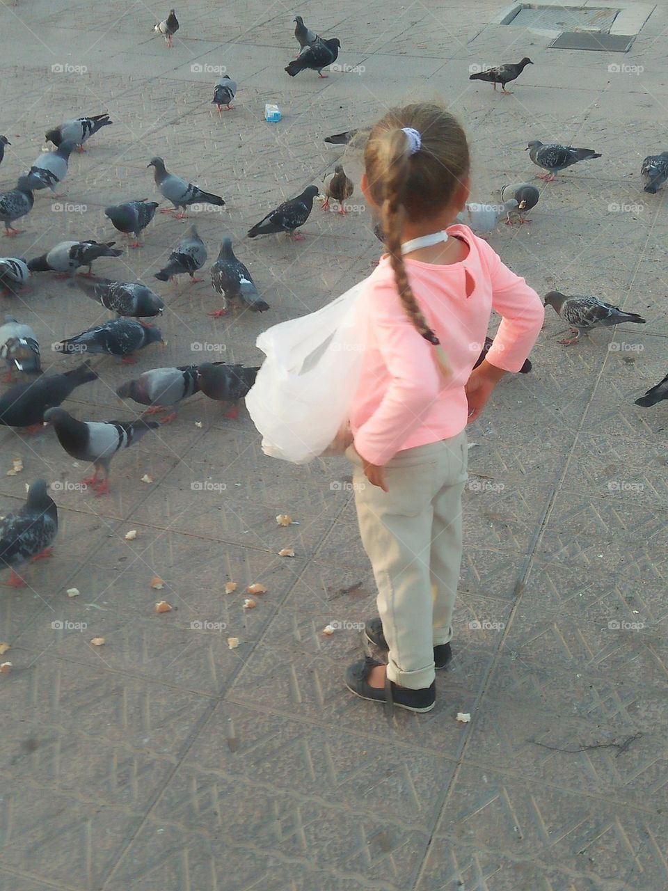 Pretty young girl feeds pigeons