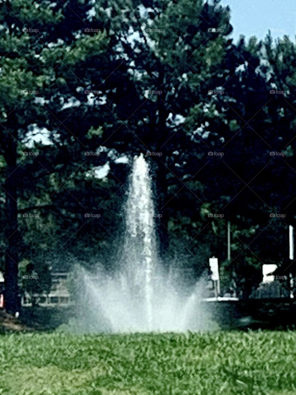 Fountain 