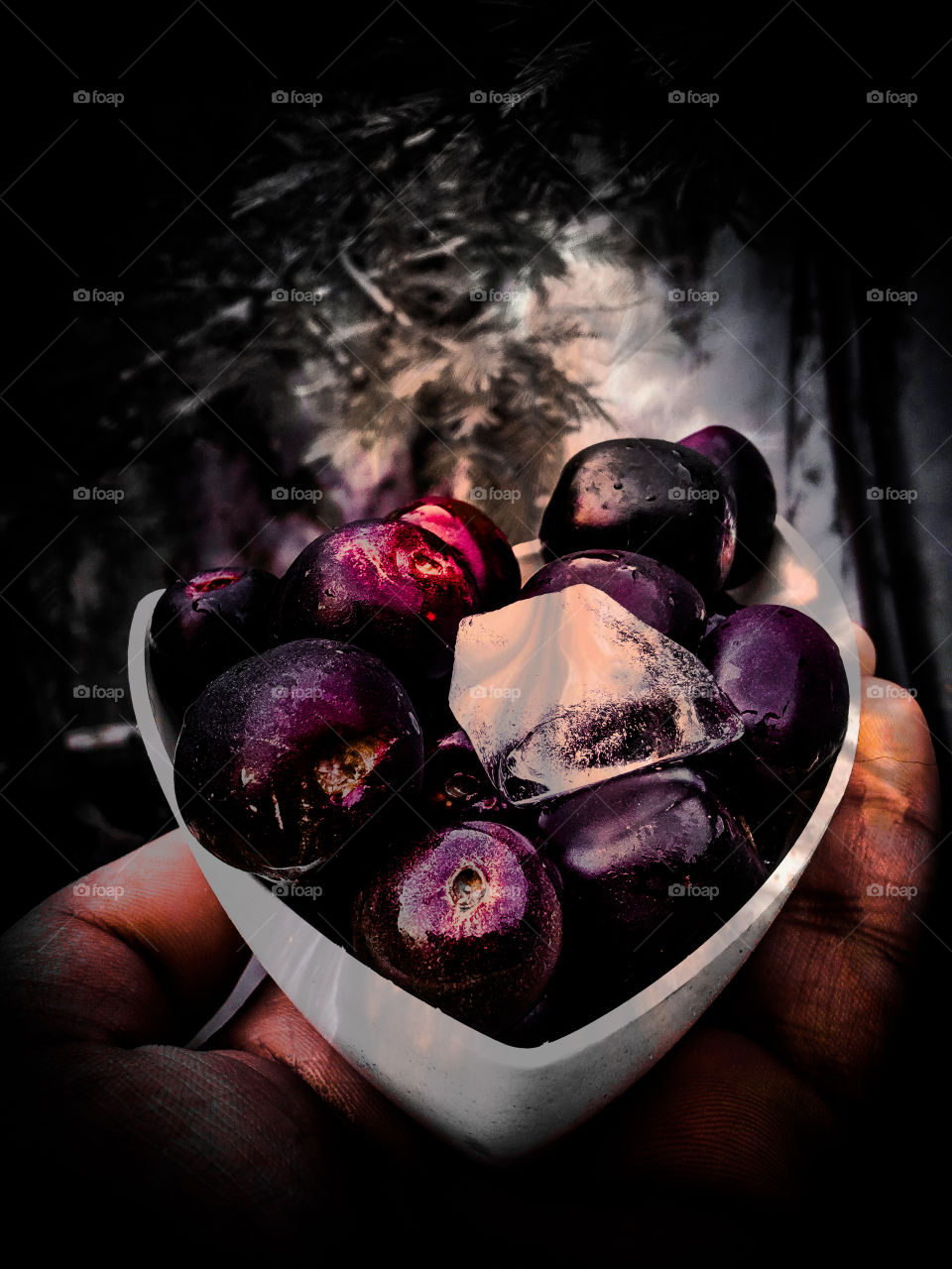 #jamun#ice#bowl#no person#festival #colorful #hand #fingers # tress #nature #me