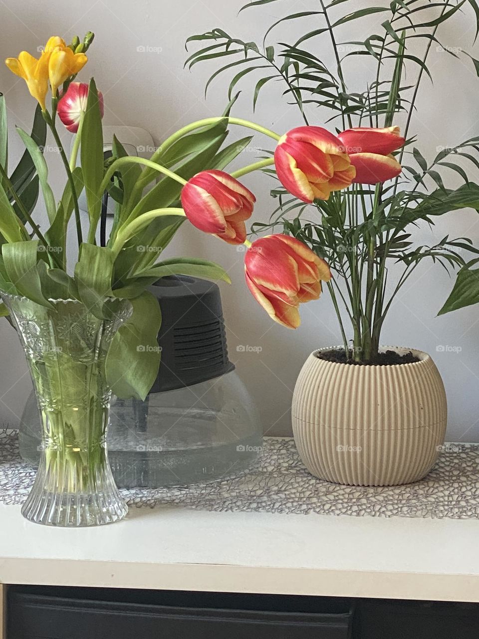 Tulips in a vase 