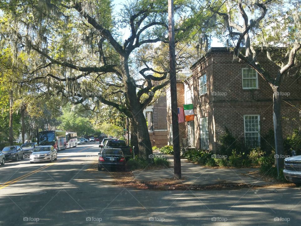 Irish city of Savannah