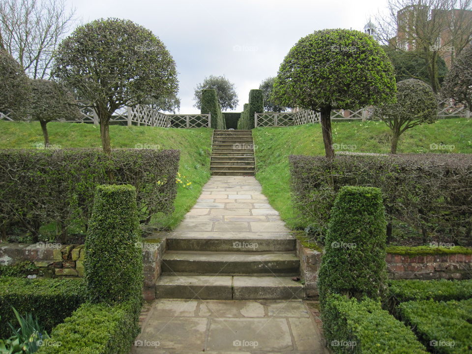 Garden, Topiary, No Person, Hedge, Tree