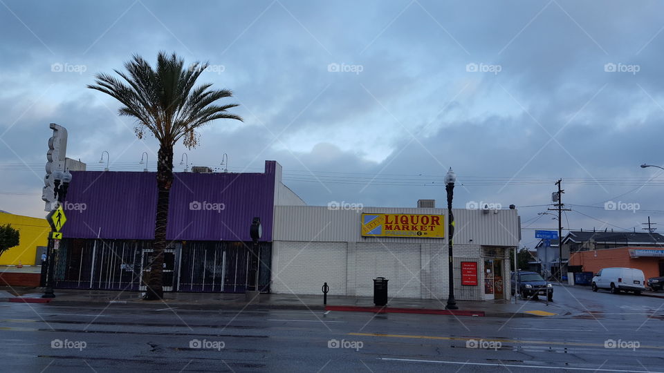 liquor store and palm tree  on a rainy day in East Los Angeles.