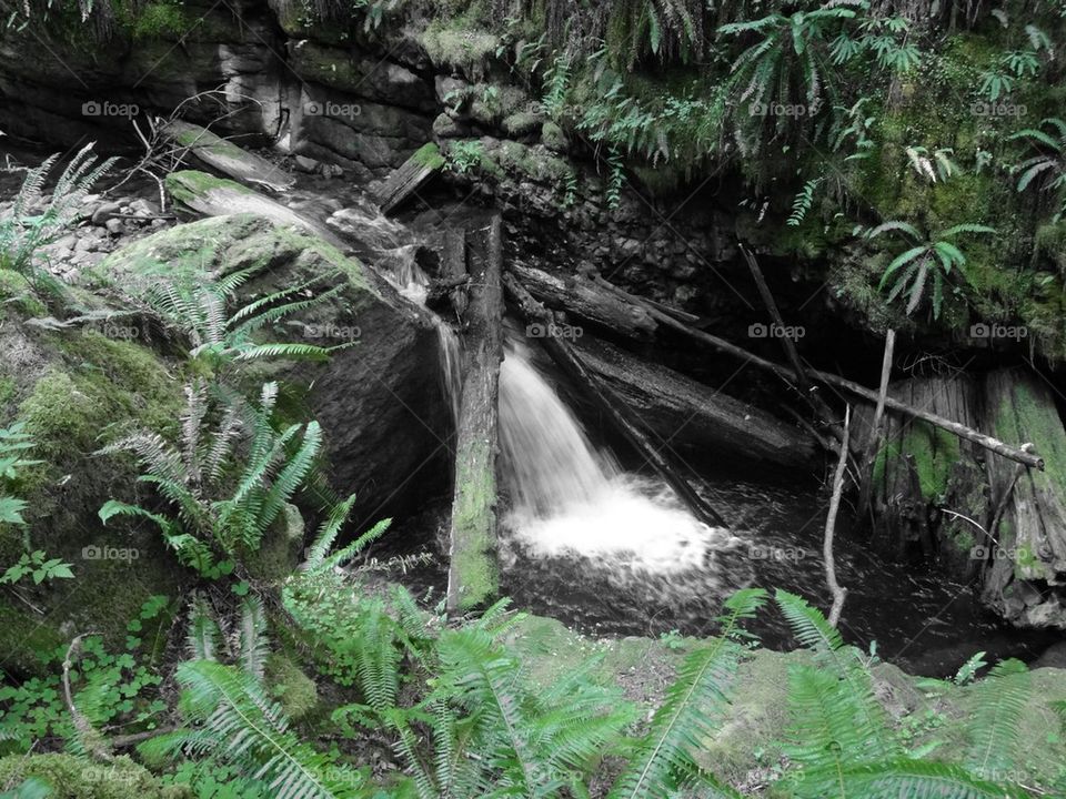 Small waterfall 