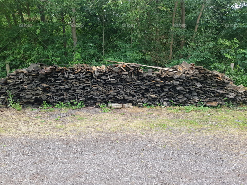 Outside is a large pile of wood, boards got completely wet by the rain. Chopping / sawing.