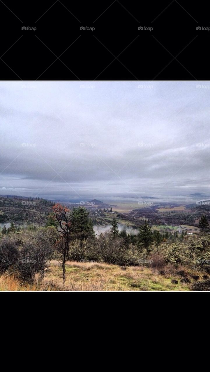 Hills of Oregon 