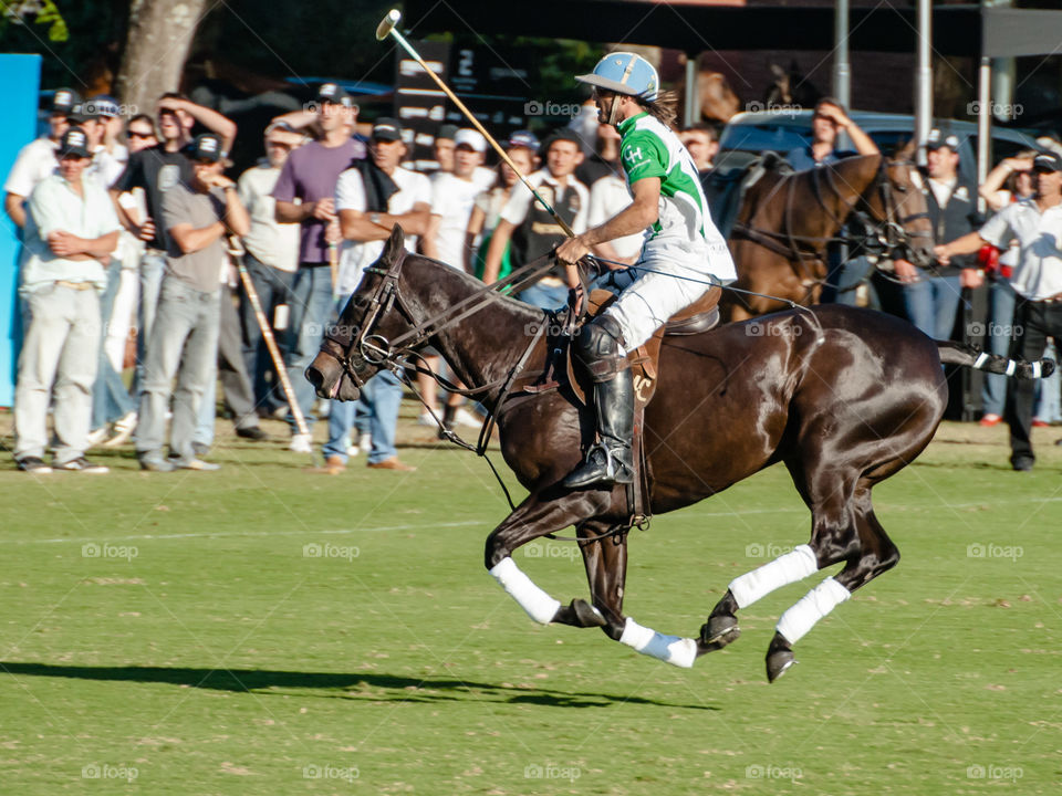 Polo, partido..