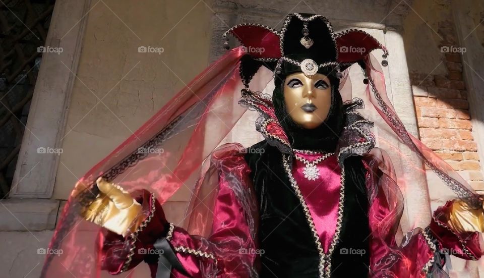 Carnevale di Venezia. Maschere in posa.