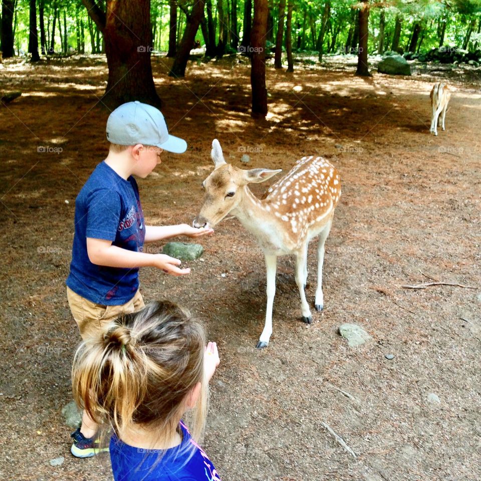 Children with deer