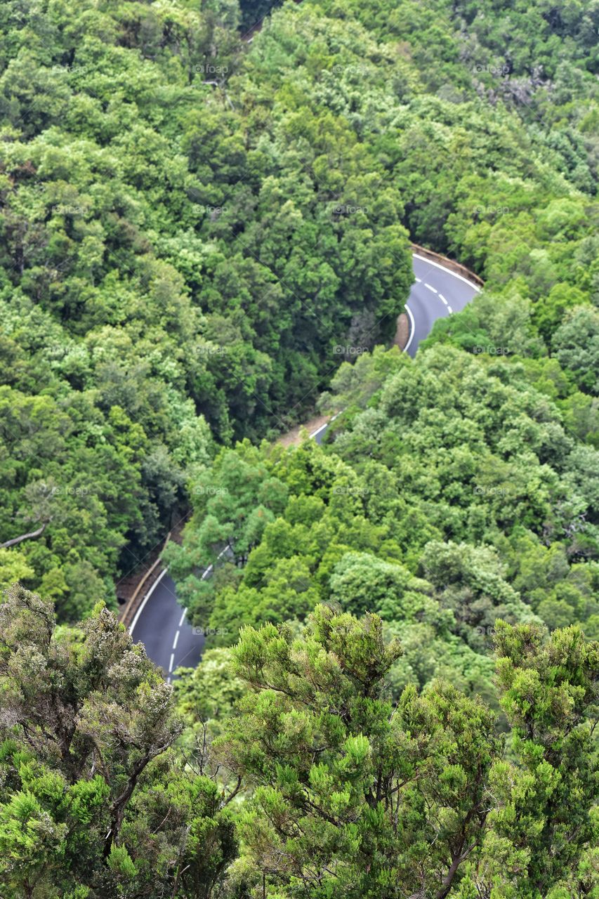 winding forest road on la gomera canary island in Spain top view