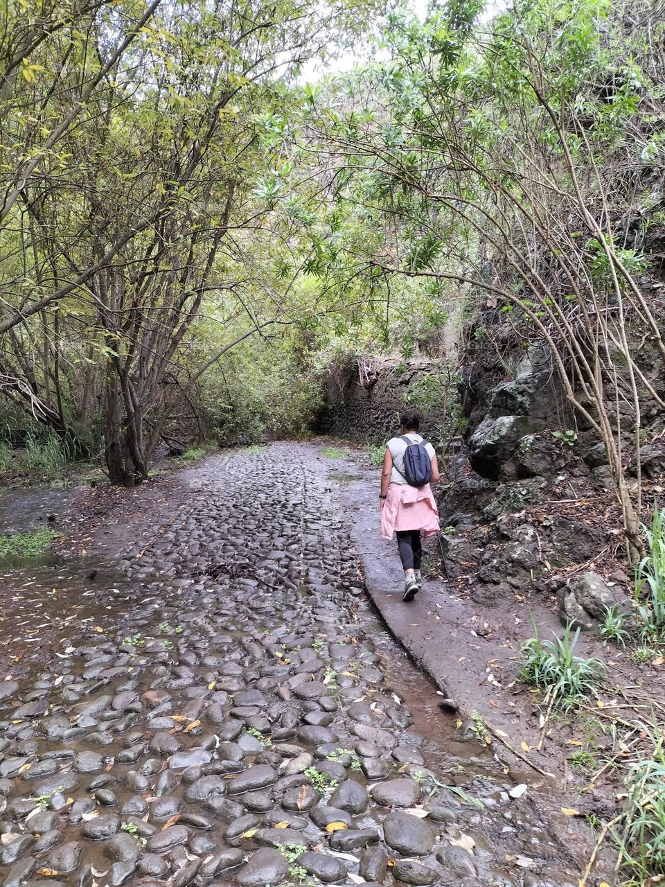 barranco Azuaje gran canaria