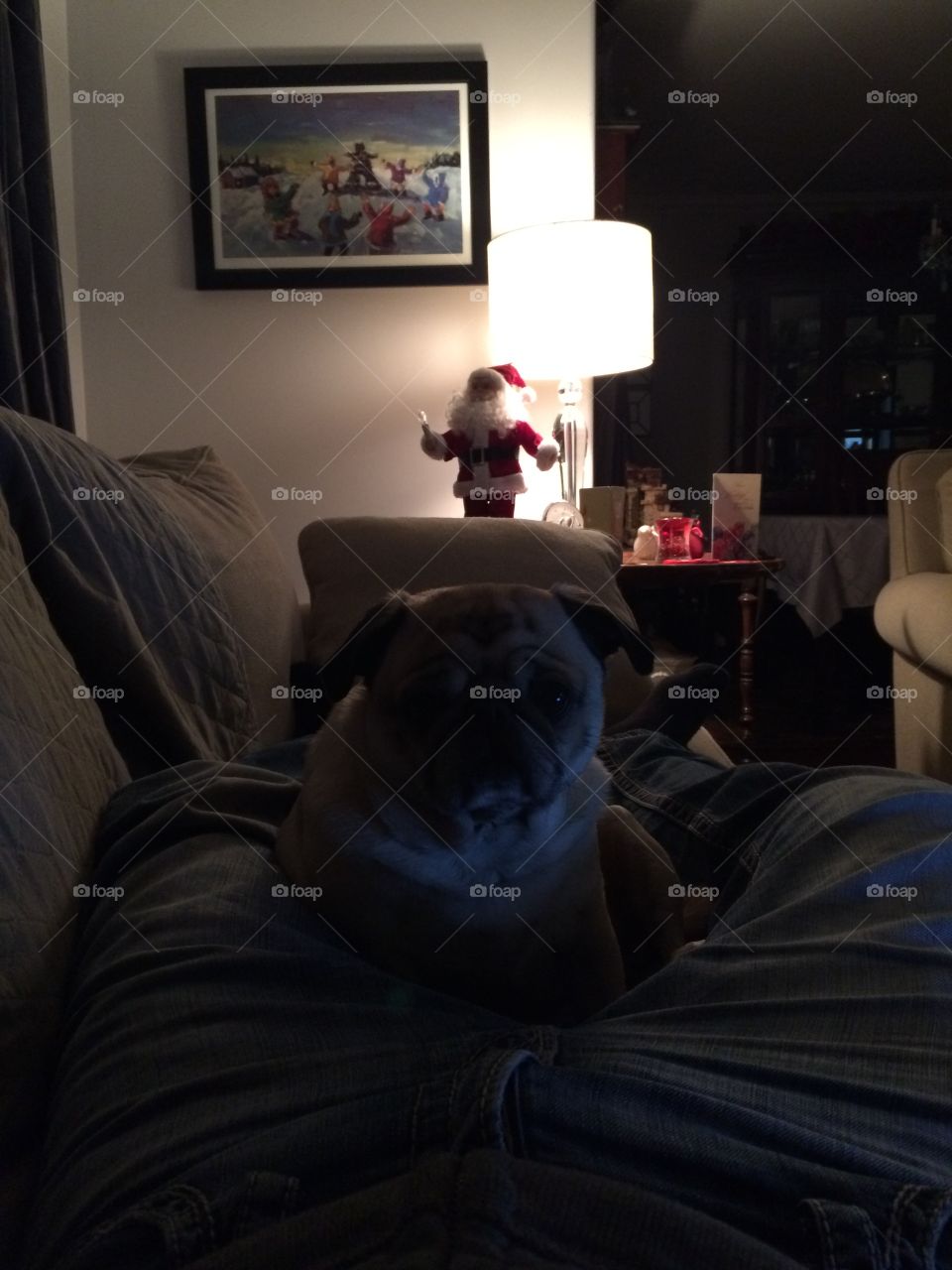 Snuggling with my pug dog! 