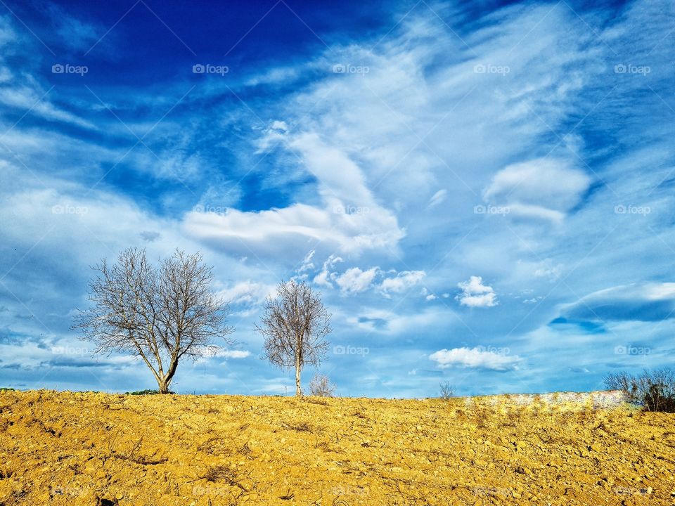 rural scenery with cloudy sky