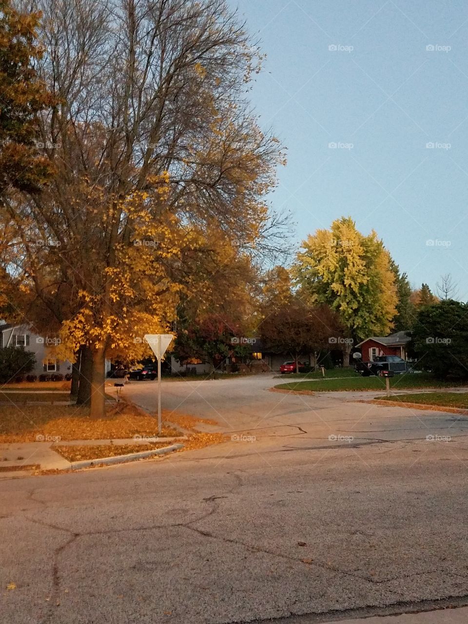 crisp fall evening