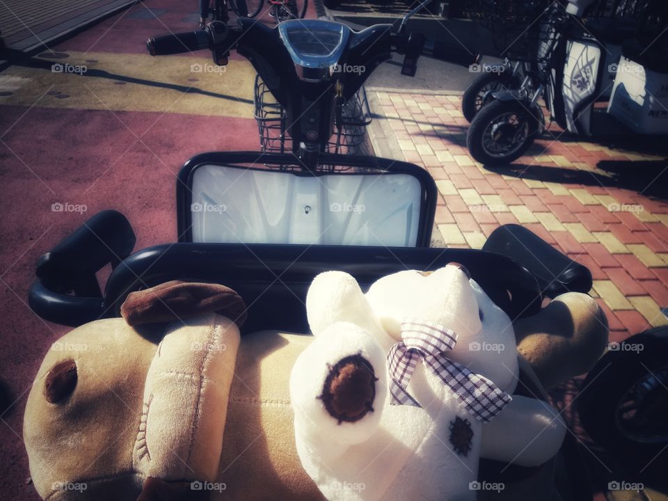 nature outdoor view spring summer