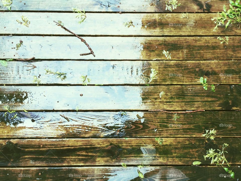 Reflection of sky, scattered twigs and leaves on a rain-soaked deck surface