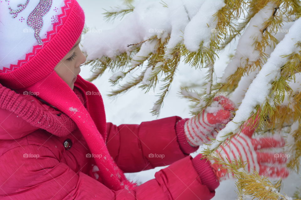 Winter, Christmas, Snow, Cold, Season