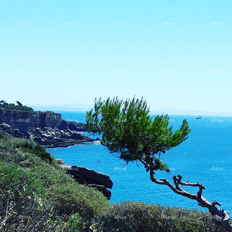 view of Cascais Portugal