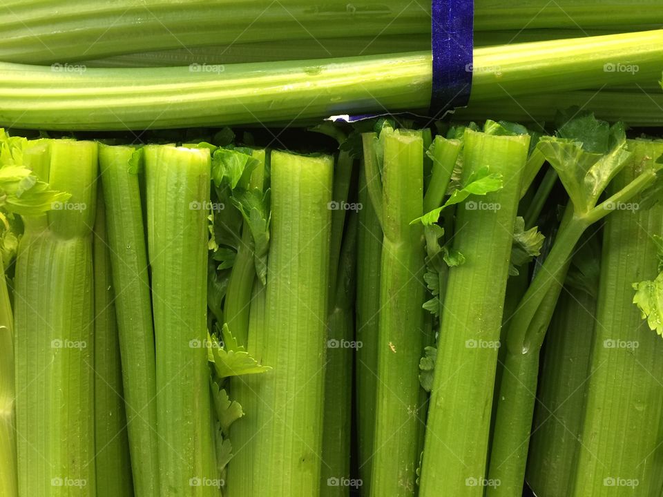 Celery 