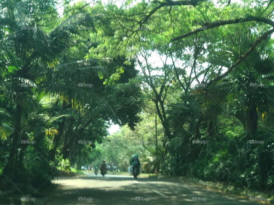 Green Road