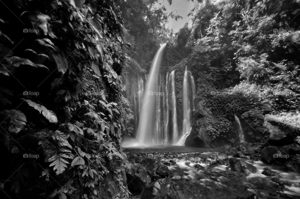 Amazing fine art black and white Tiu Kelep Waterfall near Rinjani, Senaru Lombok indonesia. Southeast Asia. Motion blur and soft focus due to Long Exposure Shot.