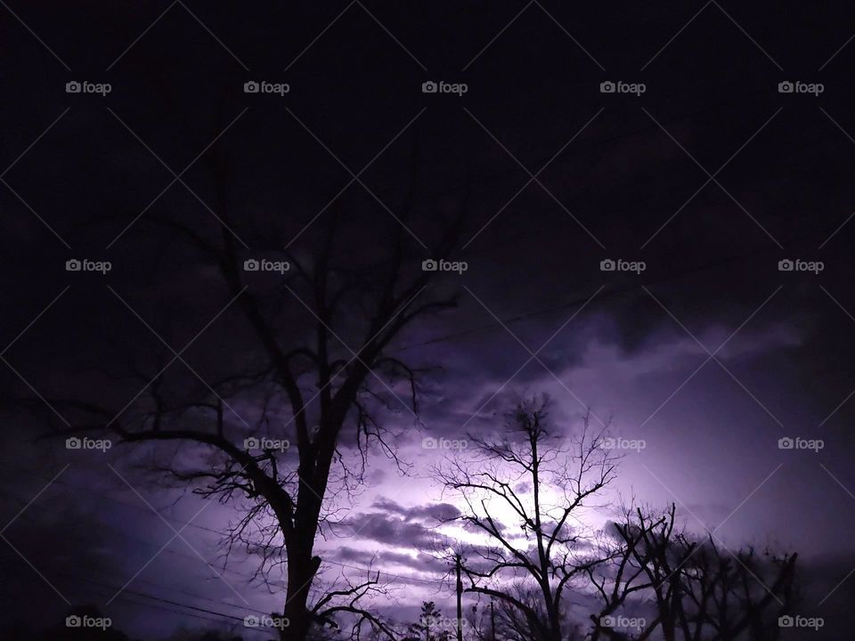Purple Night Storm