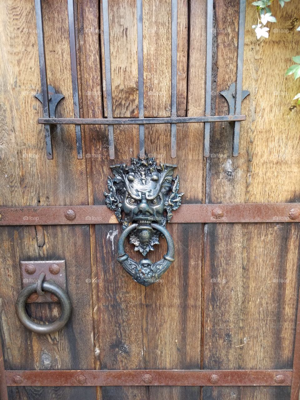 Door Gothic architecture knocker