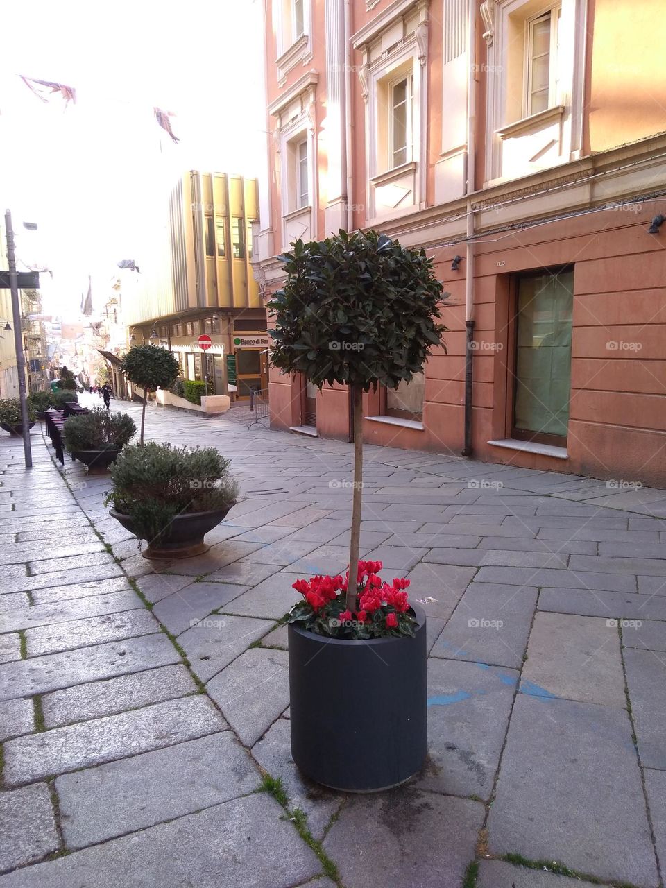 Editors' Choice: Photo of the Week