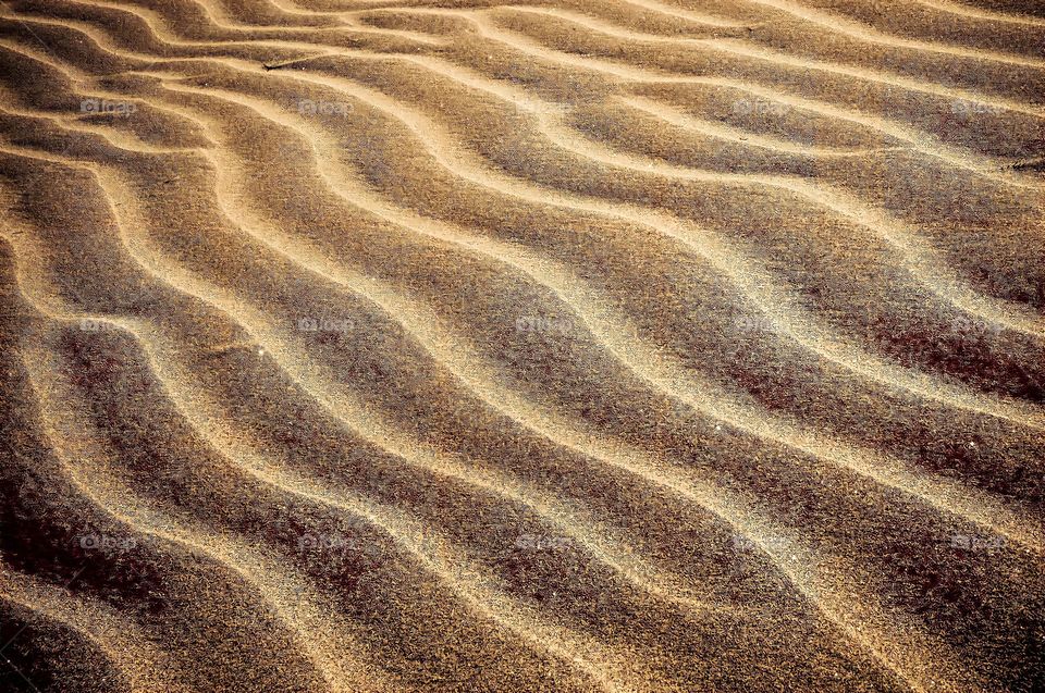 Desert sand texture.