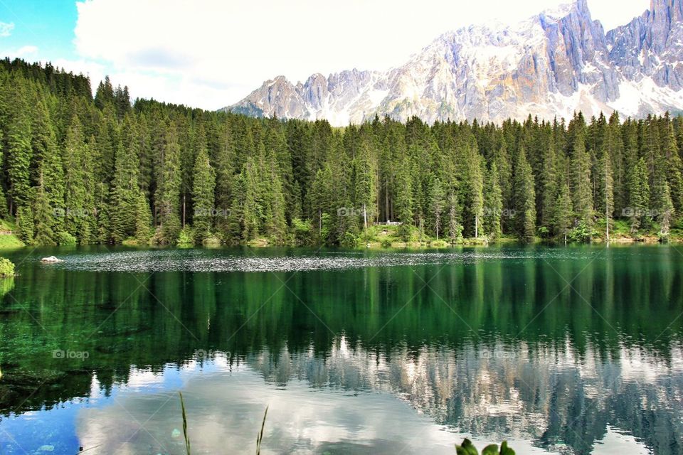 Rceflection of trees on lake of Carezza