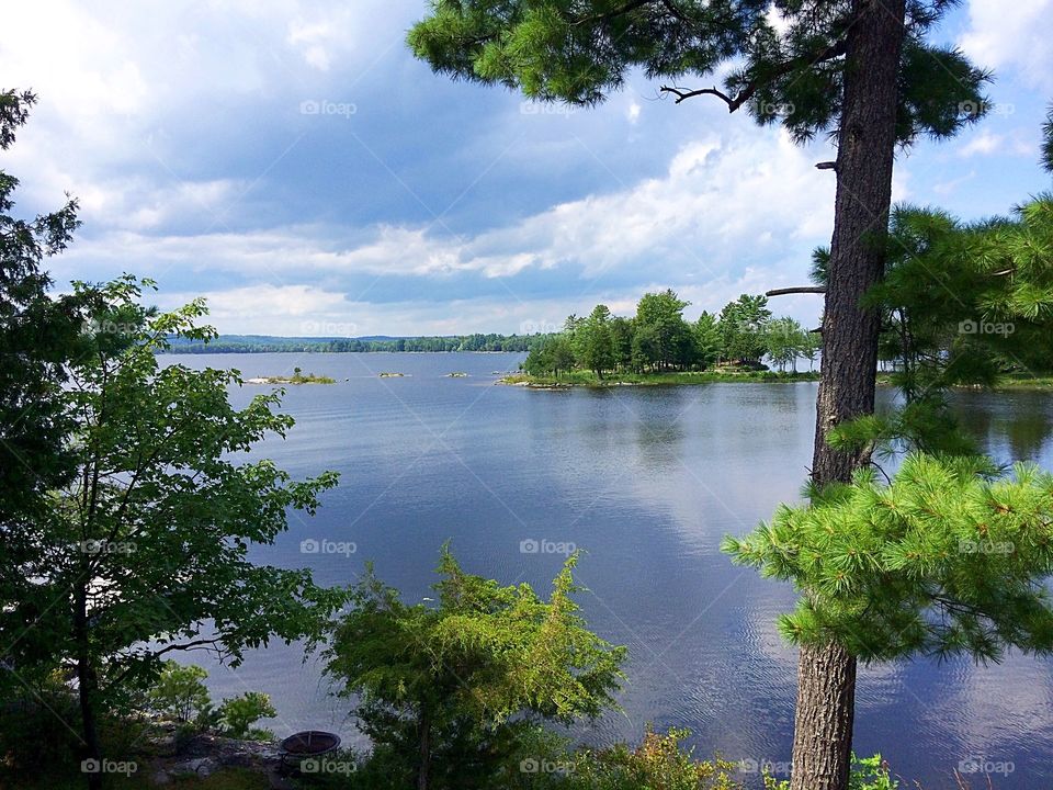 Scenic view of the river