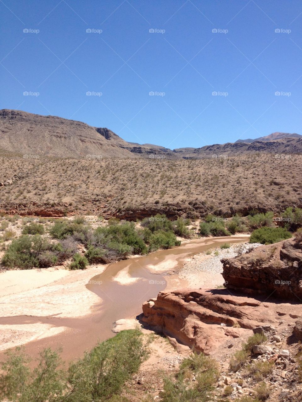 Desert waterway . Desert Waterway 