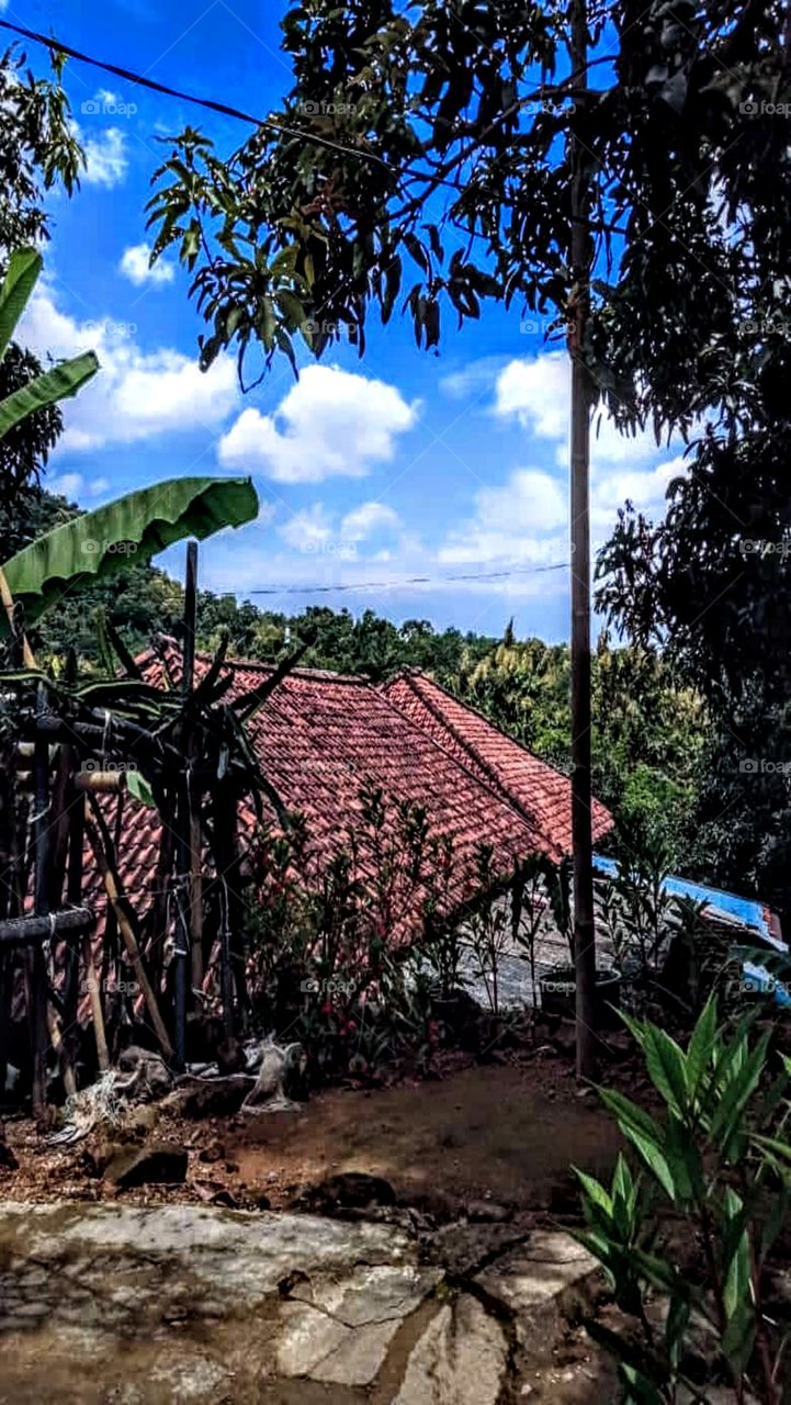A portrait of a house on a cliff