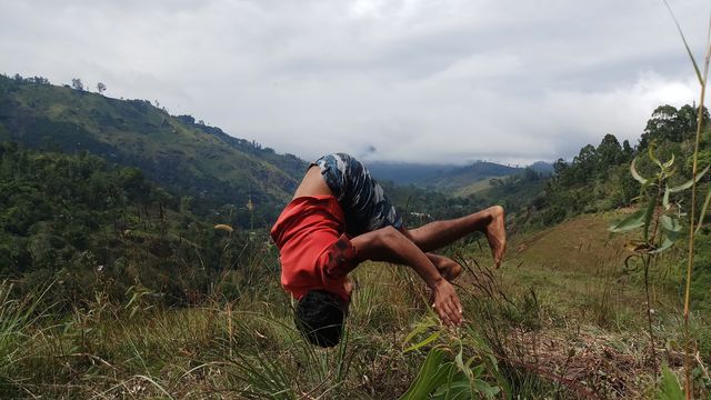 madu 788