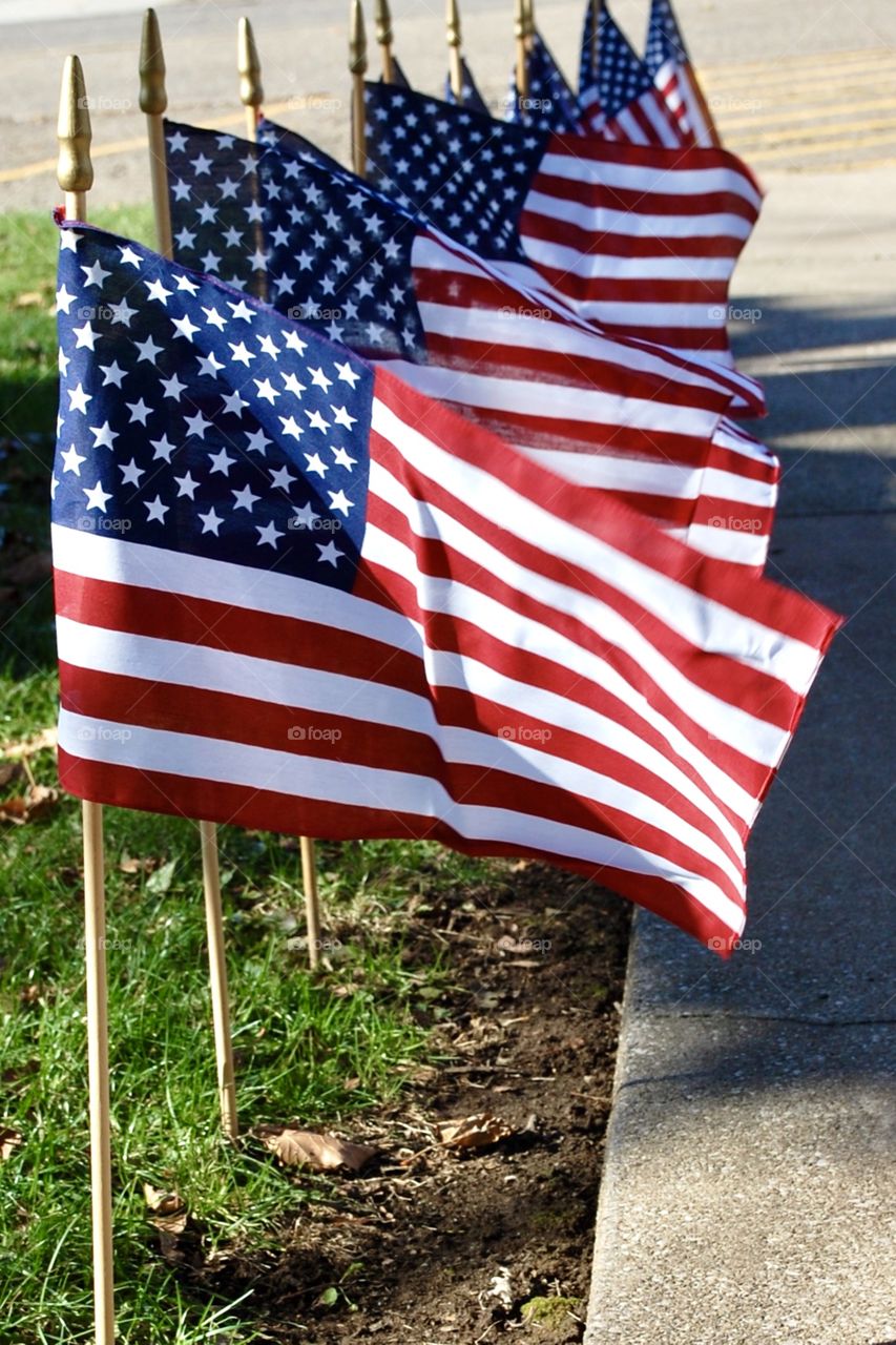 Veteran’s Day, American flags line the sidewalk