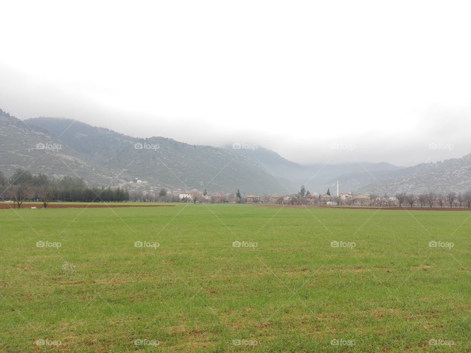 A misty day in the village