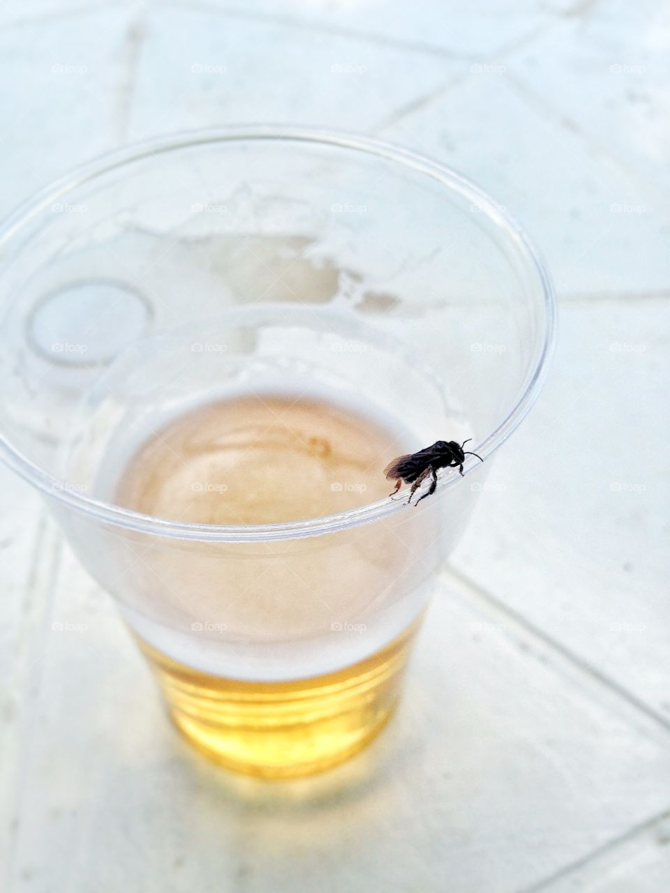 Drunk bee
