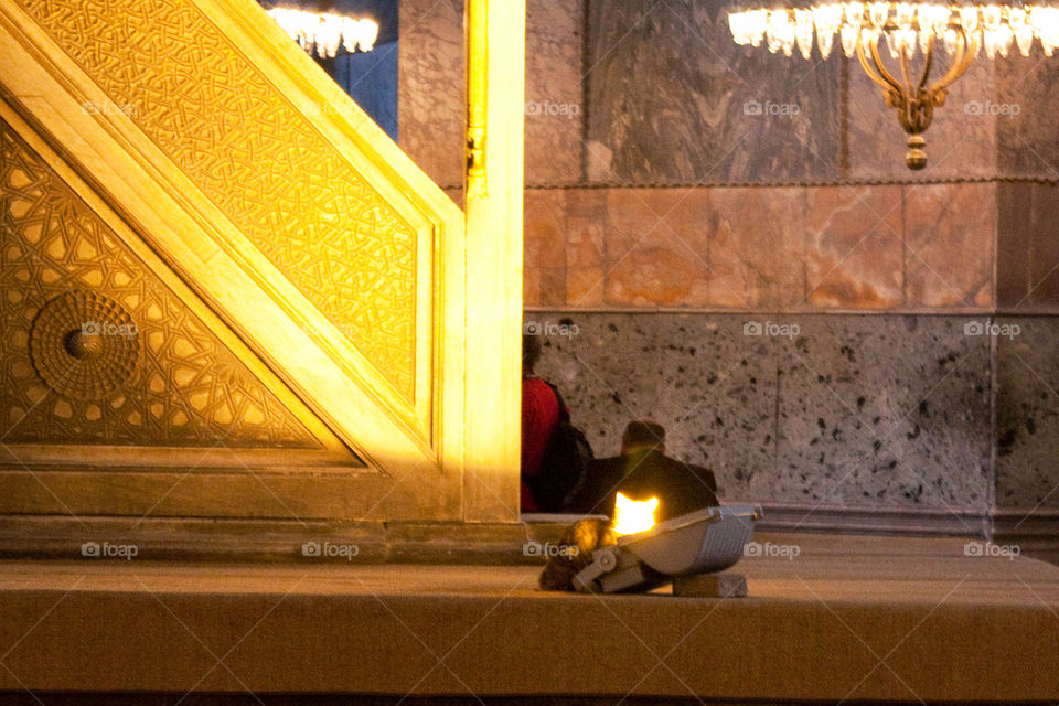 Cat in Hagia Sophia 