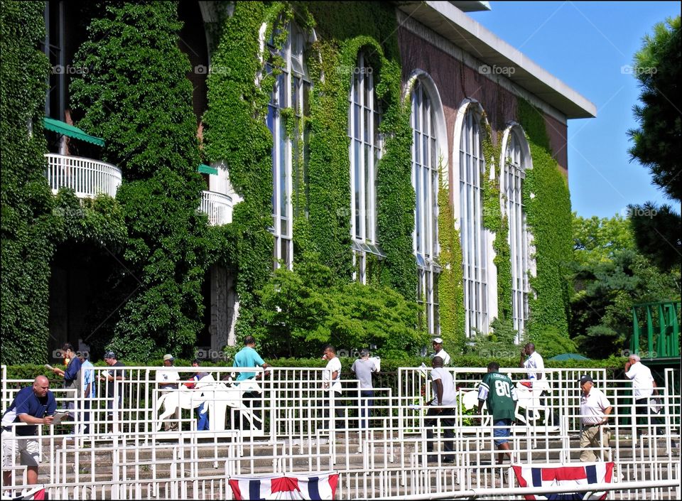 Beautiful Belmont Park. Since 1905, Belmont Park in Long Island New York, was home to every Triple Crown winner. The green vines on the facade 