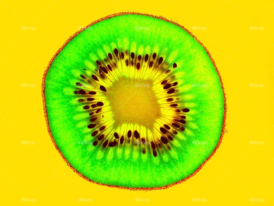 Kiwi genetically modified 