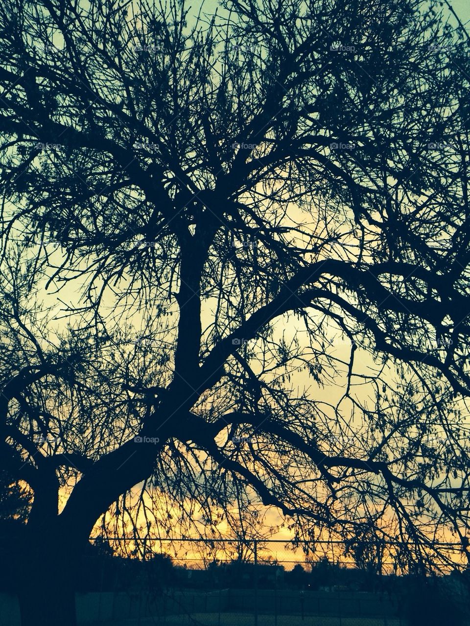 December sunset in Tulsa, OK