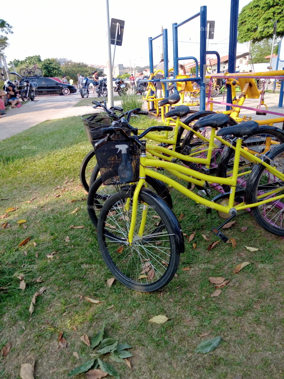 Bicicletas