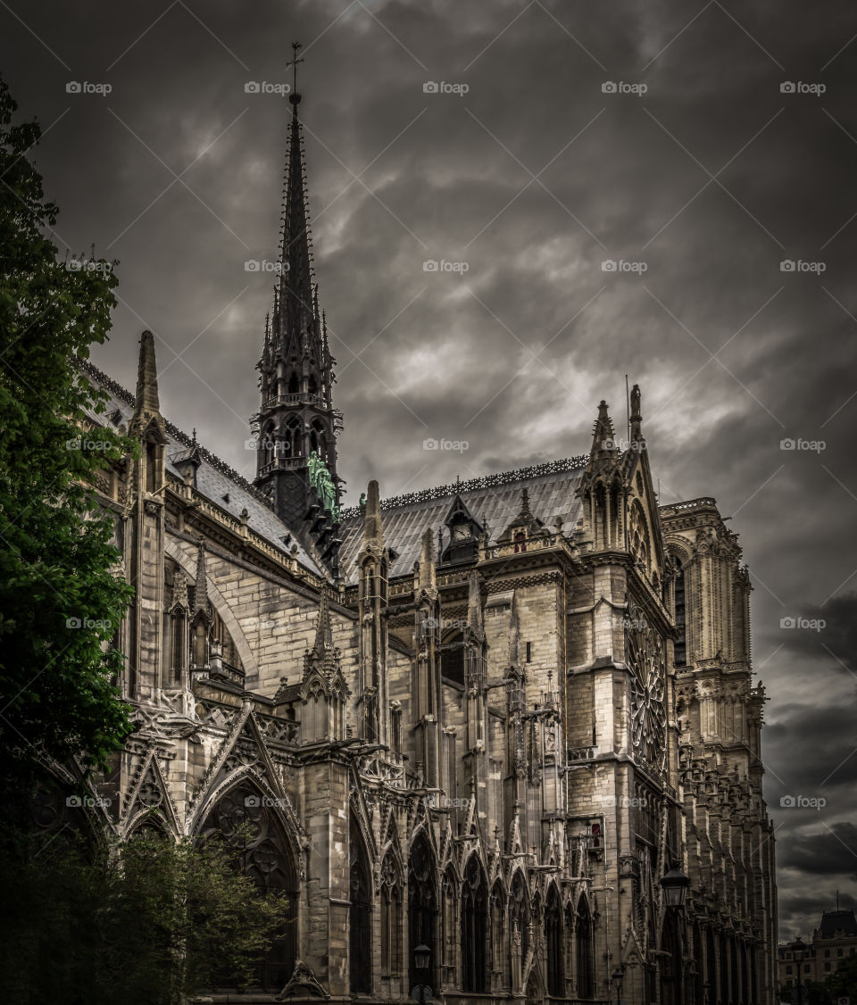 Dark Notre Dame 