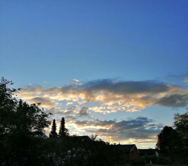 Sunrise 🌤️